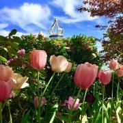 Are You Ready for Endless?