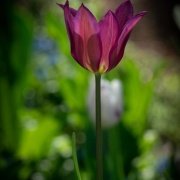 Independent Living Tours