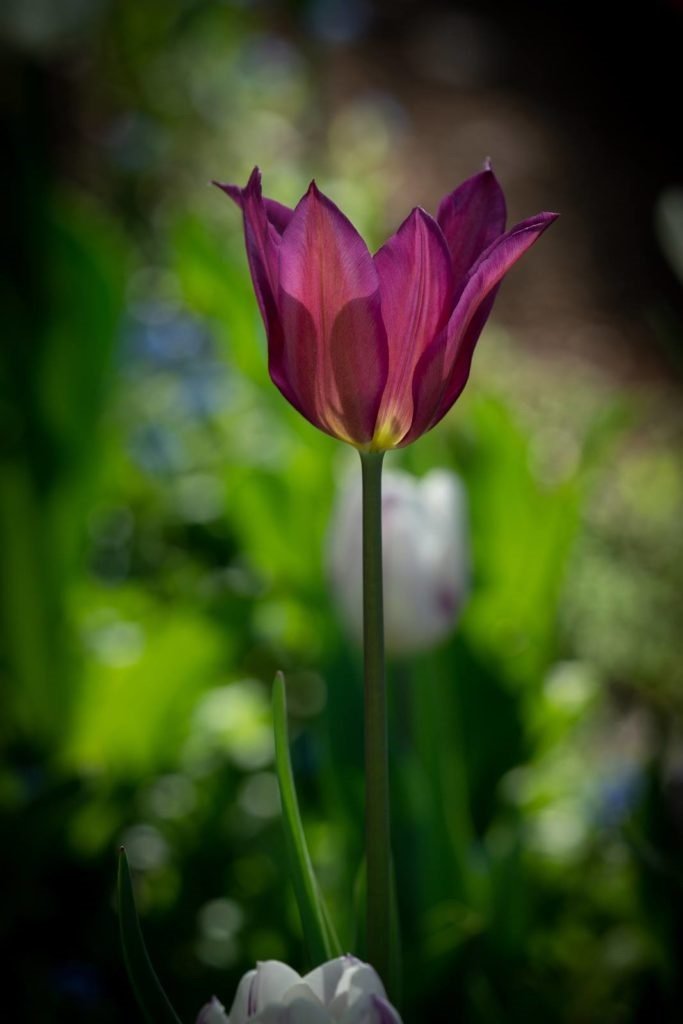 Independent Living Tours