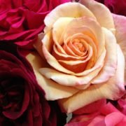 Evening of Remembrance