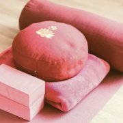 Gentle Ananda Yoga with Melissa